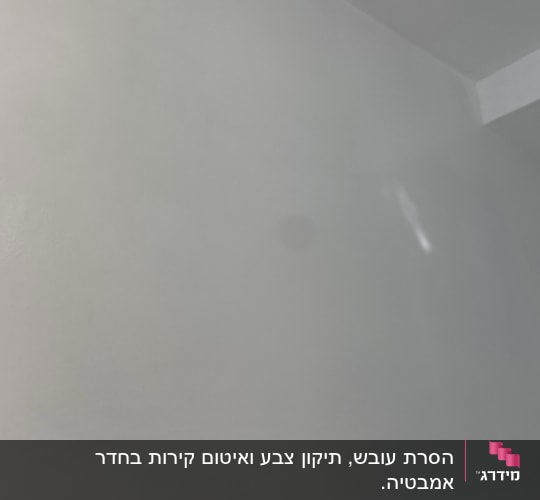 קיר צבוע בגוון אפור עם כתם כהה